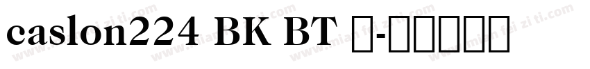 caslon224 BK BT 粗字体转换